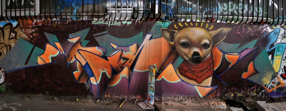 ever | caru | dog | paris