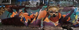 ever | caru | dog | paris (42 votes)