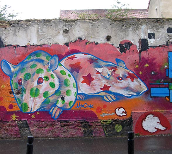 lazoo | rat | paris