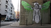 ludo | paris (30 votes)