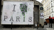 ludo | billboard | paris (34 votes)