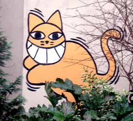 mrchat | paris | cat