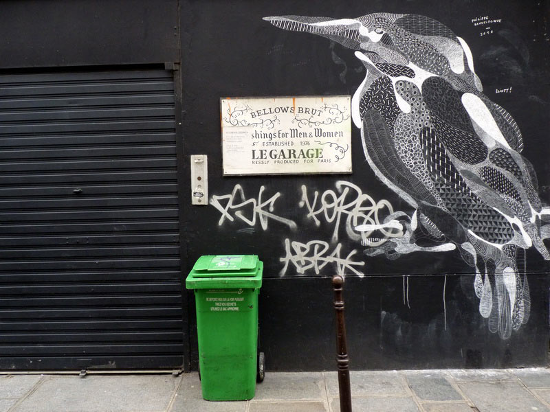 philippe-baudelocque | chalk | bird | paris