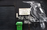 philippe-baudelocque | chalk | bird | paris (47 votes)