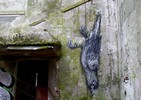 roa | bird | paris (1 vote)