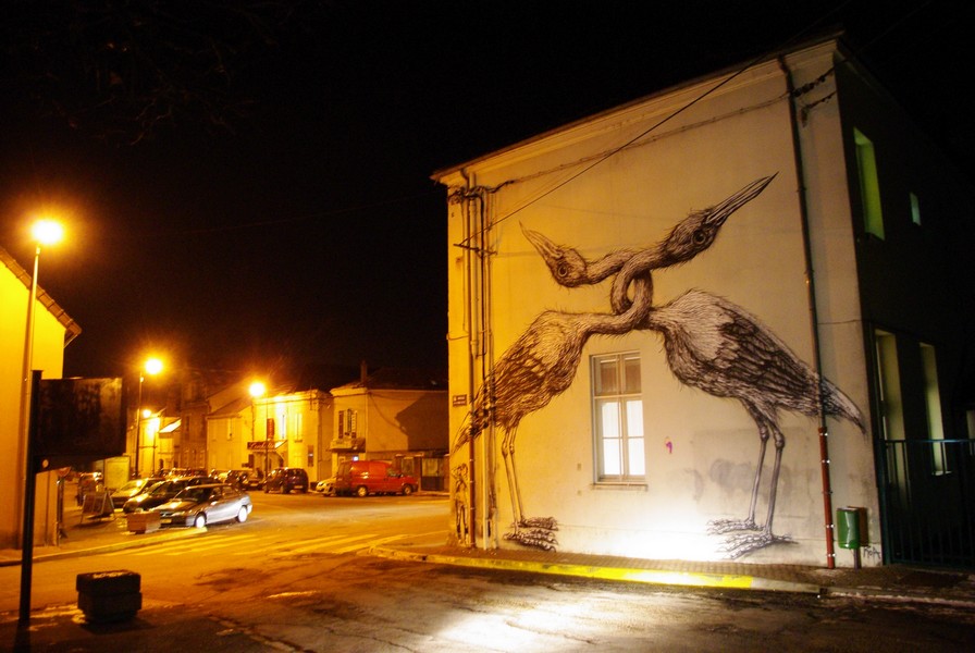roa | bird | night | paris