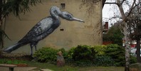 roa | bird | paris (2 votes)