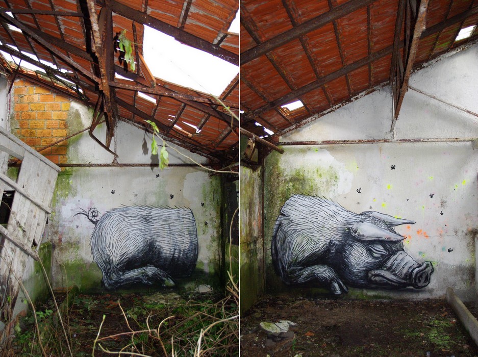 roa | pig | paris