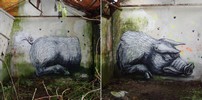 roa | pig | paris (1 vote)