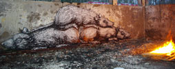 roa | rat | fire | paris (1 vote)