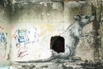 roa | rat | paris (25 votes)