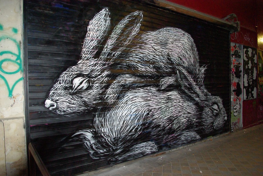roa | shutters | rabbit | paris