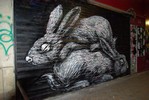 roa | shutters | rabbit | paris (23 votes)