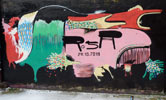 rosa | paris (16 votes)