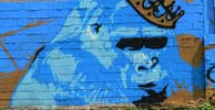 lazoo | blue | monkey | paris (7 votes)