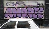 andre | purple | shutters | paris (12 votes)