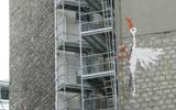 bonom | bird | paris (1 vote)