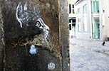 c215 | cat | stencil | paris (20 votes)
