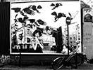 dewad | billboard | paris (17 votes)