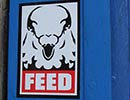 feed | pigeon | paris (16 votes)