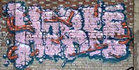 horfe | purple | paris (25 votes)