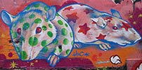 lazoo | rat | paris (10 votes)