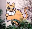 mrchat | paris | cat (3 votes)