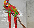 mosko | bird | red | paris (9 votes)