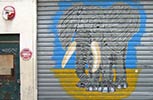 mosko | shutters | elephant | paris (3 votes)