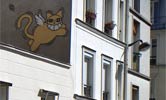 mrchat | paris | cat (7 votes)