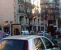 mrchat | mickey | paris | cat (1 vote)