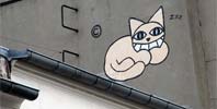mrchat | roof | paris | cat (3 votes)