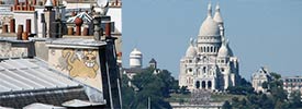 mrchat | paris | cat (28 votes)