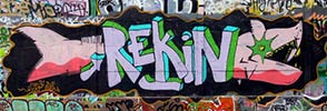 rekin | shark | paris (20 votes)