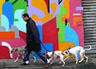 seize | dog | paris (67 votes)