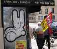 smooth | rabbit | paris (10 votes)