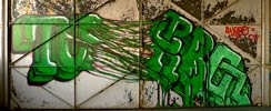 turbo | green | paris (52 votes)