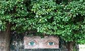 unknown | green | paris (8 votes)