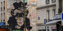 zoo-project | monkey | paris (40 votes)