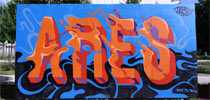 ares | 2035 | orange | pau | spring2010 (123 votes)