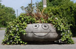 contextual-face | green | unknown | pau (46 votes)