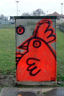 pollo | pau