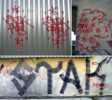 access03 | stak | pau (1 vote)