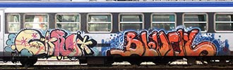blowfly | train | pau (46 votes)
