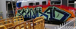 skinhead | train | pau (35 votes)