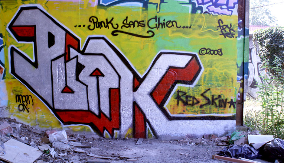 viet | punk | pau