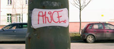 alice526 | wroclaw | poland (25 votes)