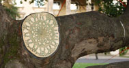 nespoon | warsaw | tree | poland (25 votes)