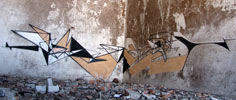 pener | proembrion | poland (17 votes)