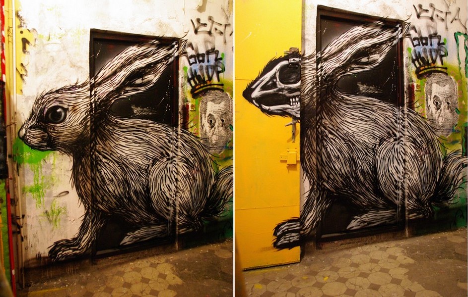 roa | rabbit | poland